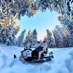 База отдыха Винни-Вилла, Тверская область