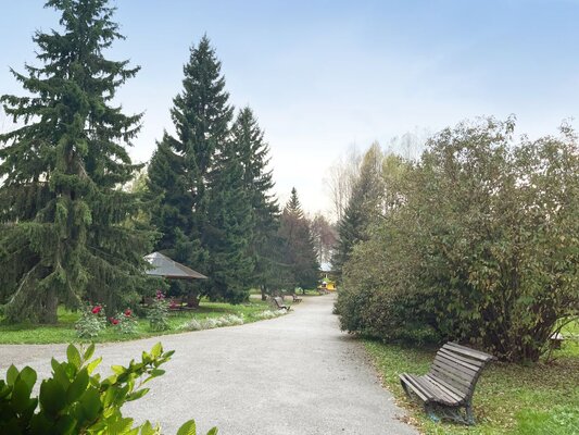 Солнечный — фото 5