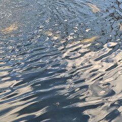 Дом Волга Day, Волгоградская область