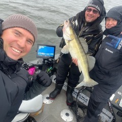 Дом Волга Day, Волгоградская область