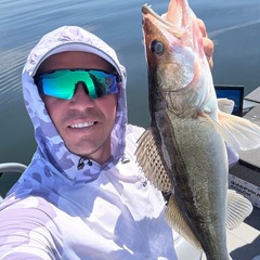 Дом Волга Day, Волгоградская область