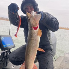 Дом Волга Day, Волгоградская область