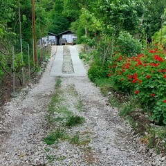База отдыха Ахьаца, Гагрский район