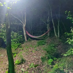 База отдыха Ахьаца, Гагрский район