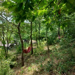 База отдыха Ахьаца, Гагрский район