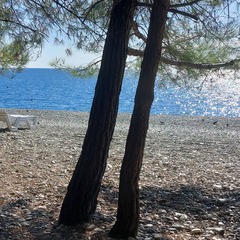 База отдыха Ахьаца, Гагрский район