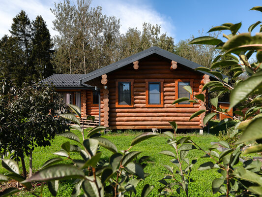 Банный — фото 4