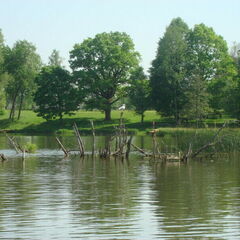 База отдыха Аура, Медынский район, Калужская область