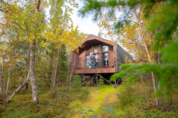 Тайга — фото 4