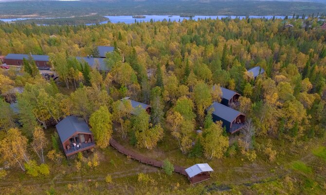 Тайга — фото 5