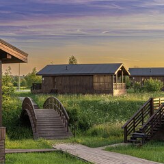 База отдыха Русские Сезоны Вятские Дачи, Вятское, Ярославская область