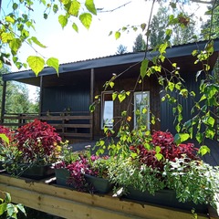 Глэмпинг Простокашино, Владимирская область