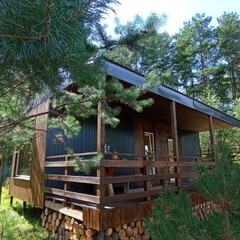 Глэмпинг Простокашино, Владимирская область