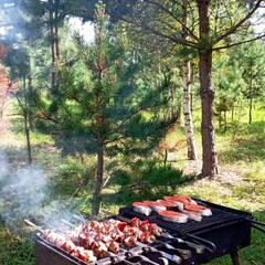 Глэмпинг Простокашино, Владимирская область
