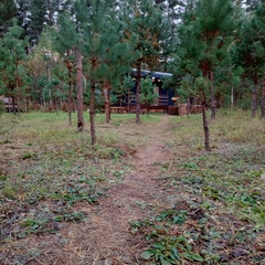 Глэмпинг Простокашино, Владимирская область