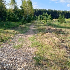 Глэмпинг Простокашино, Владимирская область
