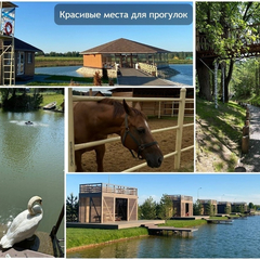 Дом Дубльдом с камином Лес_Озеро_Дом, Московская область