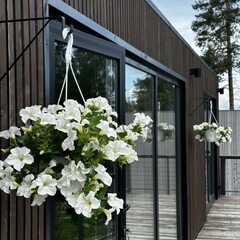 Дом Blueberry Village, Ленинградская область