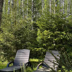 Дом Лесной с сауной и чаном Лес_Озеро_Дом, Московская область