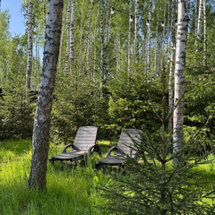 Дом Лесной с сауной и чаном Лес_Озеро_Дом, Московская область