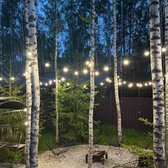 Дом Лесной с сауной и чаном Лес_Озеро_Дом, Московская область