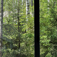 Дом Лесной с сауной и чаном Лес_Озеро_Дом, Московская область