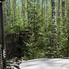 Дом Лесной с сауной и чаном Лес_Озеро_Дом, Московская область