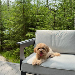 Дом Лесной с сауной и чаном Лес_Озеро_Дом, Московская область