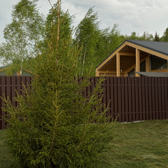 Дом Cozy home с сауной и камином Лес_Озеро_Дом, Московская область