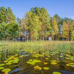 База отдыха Солнечный Бор, Псковская область