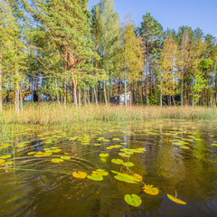 База отдыха Солнечный Бор, Псковская область