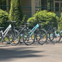 База отдыха Солнечный Бор, Псковская область