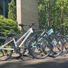 База отдыха Солнечный Бор, Псковская область