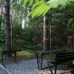 Дом Тишина, Пермский край