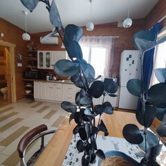 Дом Будимир дом для души, Челябинская область