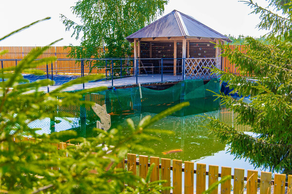 Доброfish — фото 1