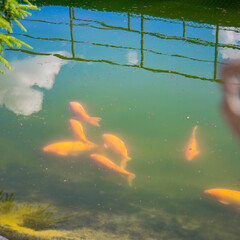 База отдыха Доброfish, Пермский край