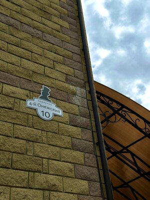 Онегин — фото 5