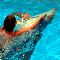 Дом под ключ на море с теплым бассейном и сапбордами, Краснодарский край