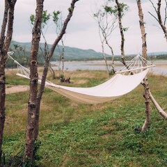 Отель Титовка Арктик Ривер Парк, Мурманская область