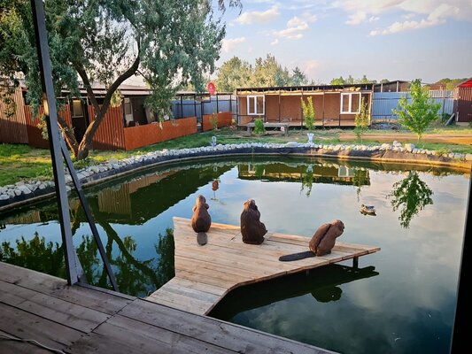 Кигач хаус — фото 1