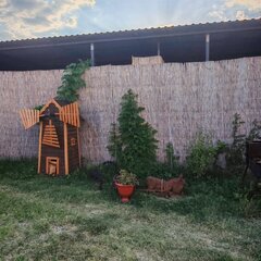 Рыболовная база Кигач хаус, Красноярский район, Астраханская область