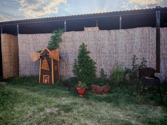 Кигач хаус — фото 3