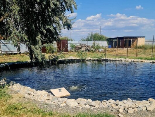 Кигач хаус — фото 4