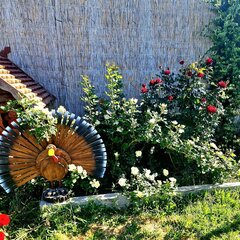 Рыболовная база Кигач хаус, Красноярский район, Астраханская область