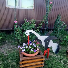 Рыболовная база Кигач хаус, Красноярский район, Астраханская область