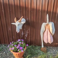 Рыболовная база Кигач хаус, Красноярский район, Астраханская область