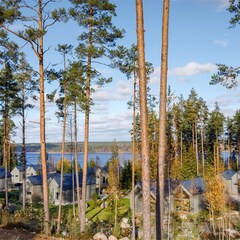 Курорт MARJA Villas & Spa, Ленинградская область