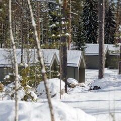 Курорт MARJA Villas & Spa, Ленинградская область