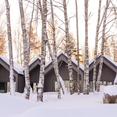 Курорт MARJA Villas & Spa, Ленинградская область